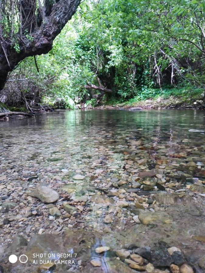 Aptm Dayma Sierra junto al río Majaceite. Benamahoma Exterior foto