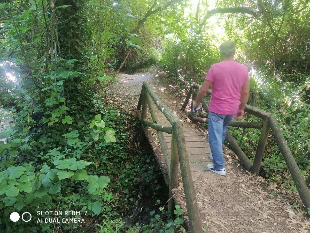 Aptm Dayma Sierra junto al río Majaceite. Benamahoma Exterior foto