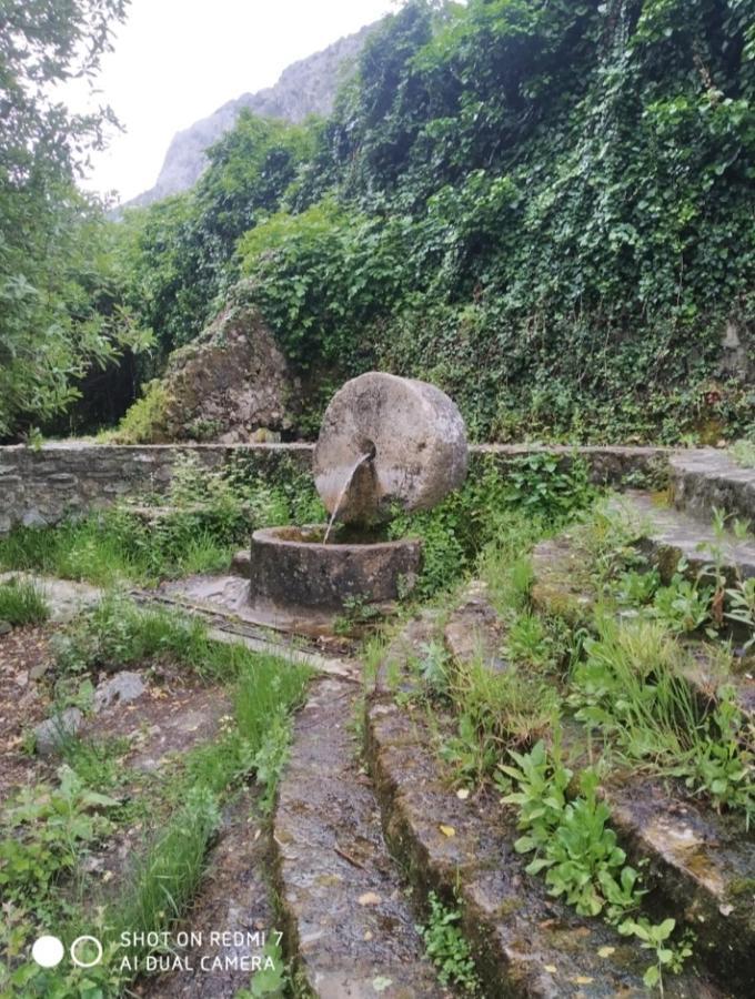 Aptm Dayma Sierra junto al río Majaceite. Benamahoma Exterior foto