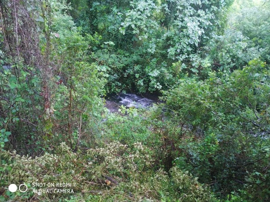Aptm Dayma Sierra junto al río Majaceite. Benamahoma Exterior foto