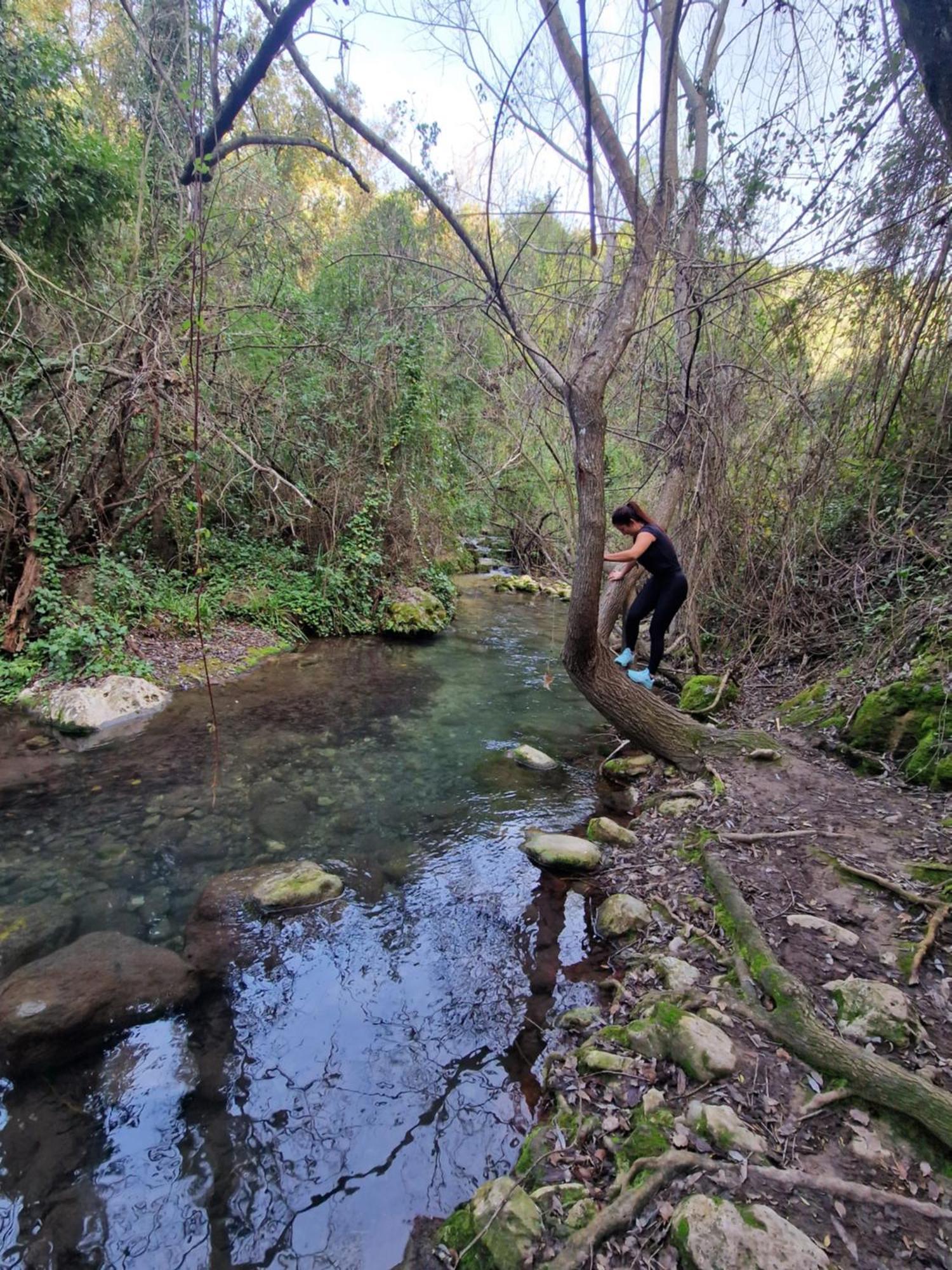 Aptm Dayma Sierra junto al río Majaceite. Benamahoma Exterior foto