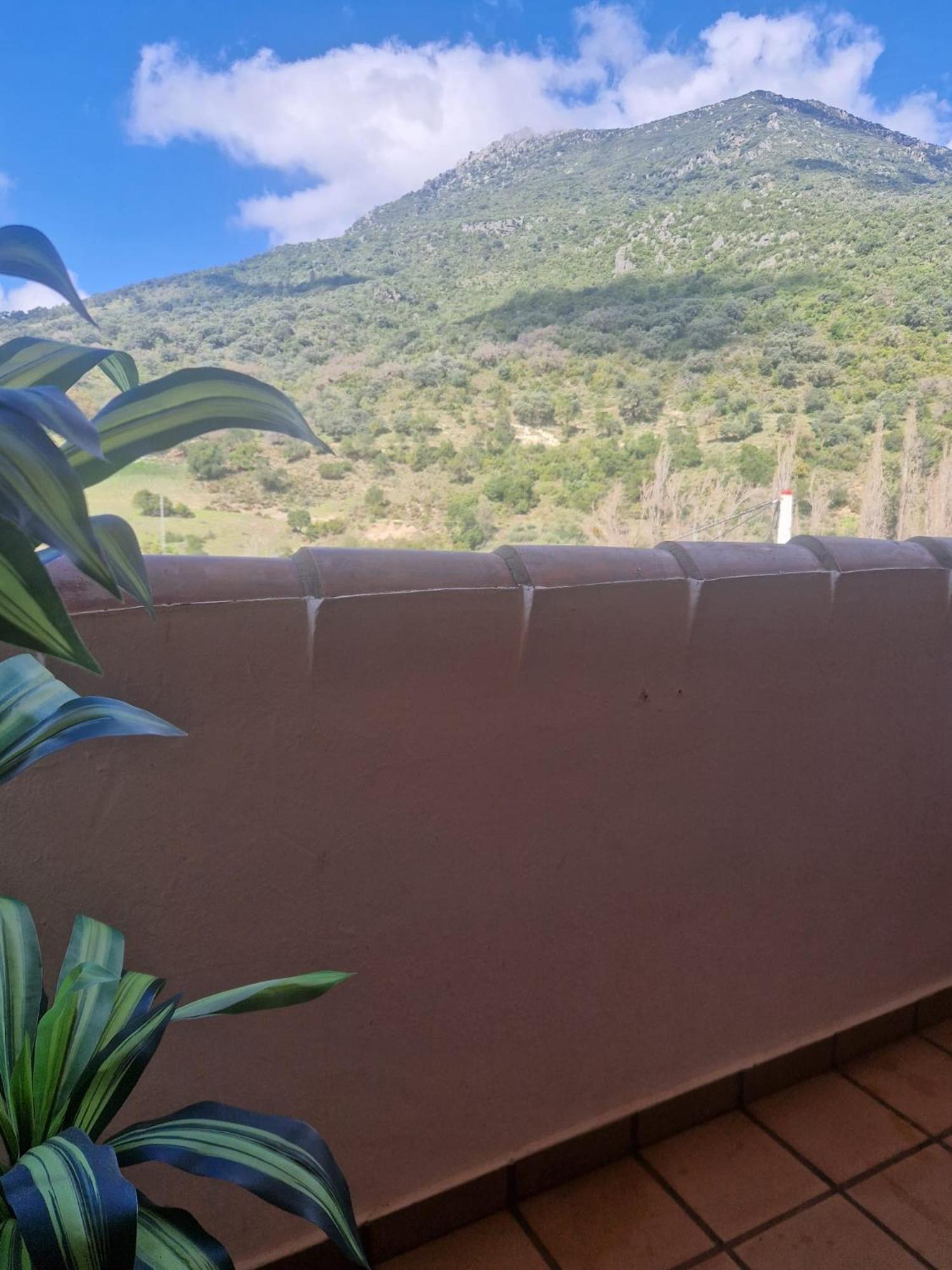 Aptm Dayma Sierra junto al río Majaceite. Benamahoma Exterior foto